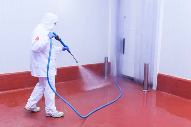 Best Parking Lot Cleaning in Loyalhanna, PA