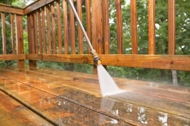 Best Soft Washing for Delicate Surfaces in Loyalhanna, PA